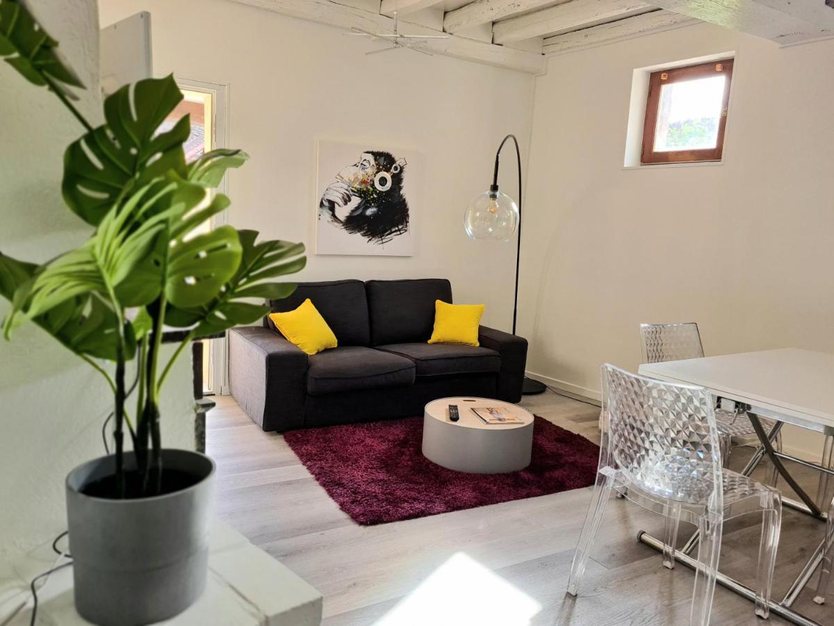 Maison Charme Avec Terrasse Hypercentre, Tres Calmeジョイニー エクステリア 写真